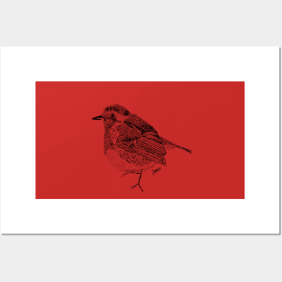 Little Robin Redbreast Posters and Art